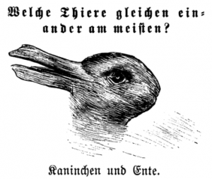 370px-Kaninchen_und_Ente