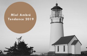 Tendance-2019-Dulux-Miel-Ambré-665x435